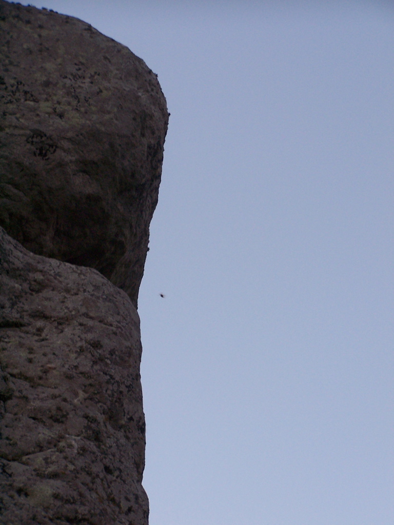 100_5149.JPG
