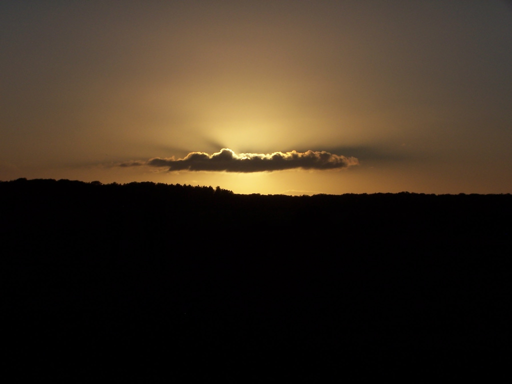 100_5084.JPG