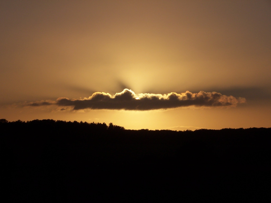 100_5085.JPG