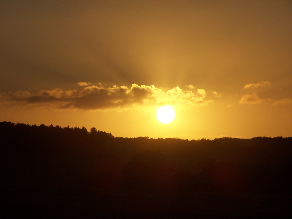 100_5090.JPG
