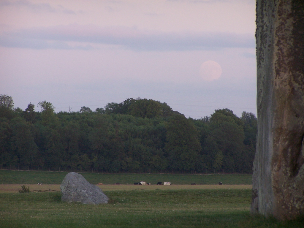 100_5104.JPG