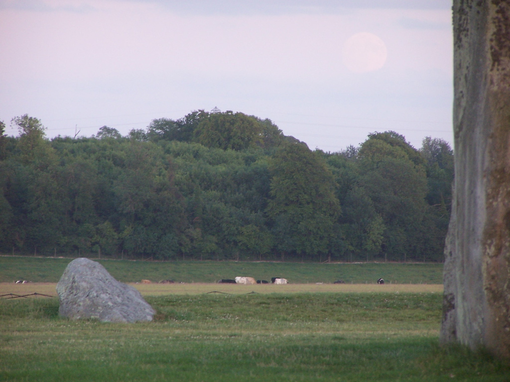 100_5105.JPG