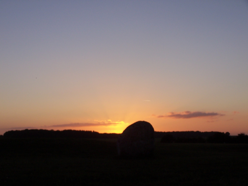 100_5111.JPG