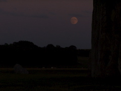100_5129.JPG
