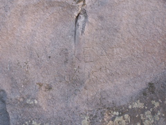 100_5087.JPG
