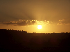 100_5090.JPG
