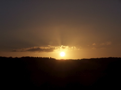 100_5093.JPG