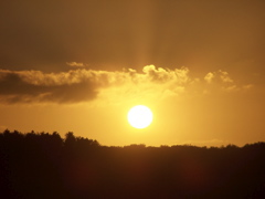 100_5094.JPG