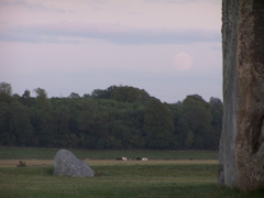 100_5104.JPG