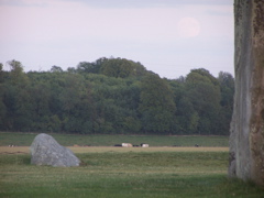 100_5105.JPG