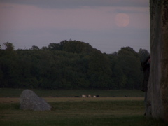 100_5106.JPG