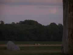 100_5108.JPG