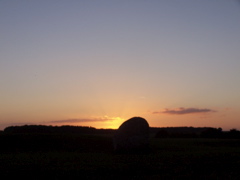 100_5111.JPG