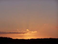 100_5113.JPG