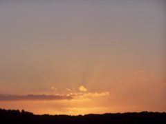100_5114.JPG