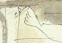 Finger