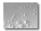 Cydonia Rejuvenated - original base image