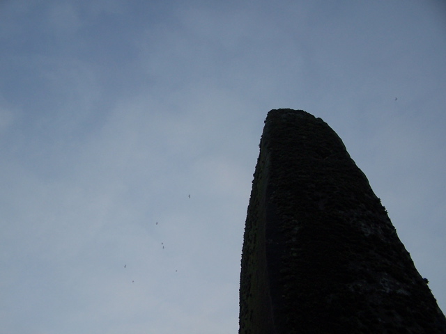 100_2405.JPG
