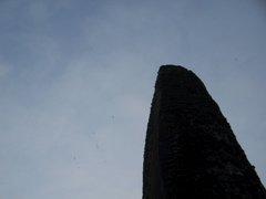 100_2405.JPG