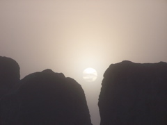 100_2441.JPG